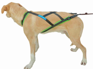 Arnés Canicross X-Back Ajustable Polar Evo Inlandsis para Perros Running
