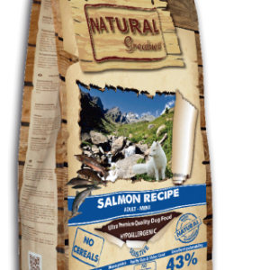 Receta de Salmón Mini