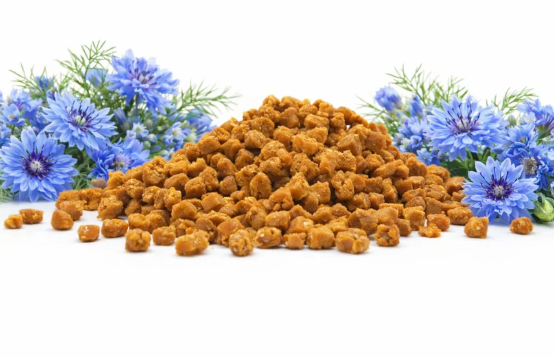 Snack para perro, producto natural, gato