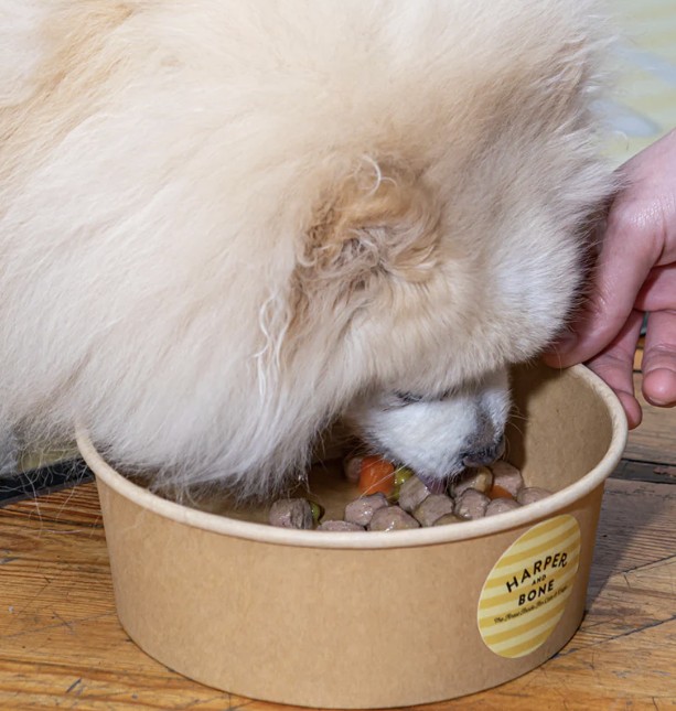 Albóndigas naturales para perros