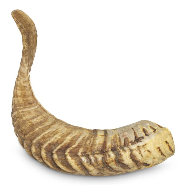 Mordedor natural para perros cuerno de carnero snack dental
