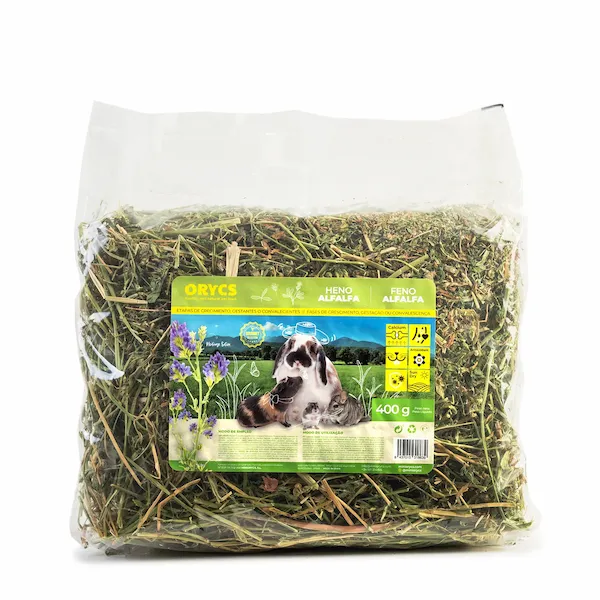 alfalfa para conejos alimentación para conejos heno