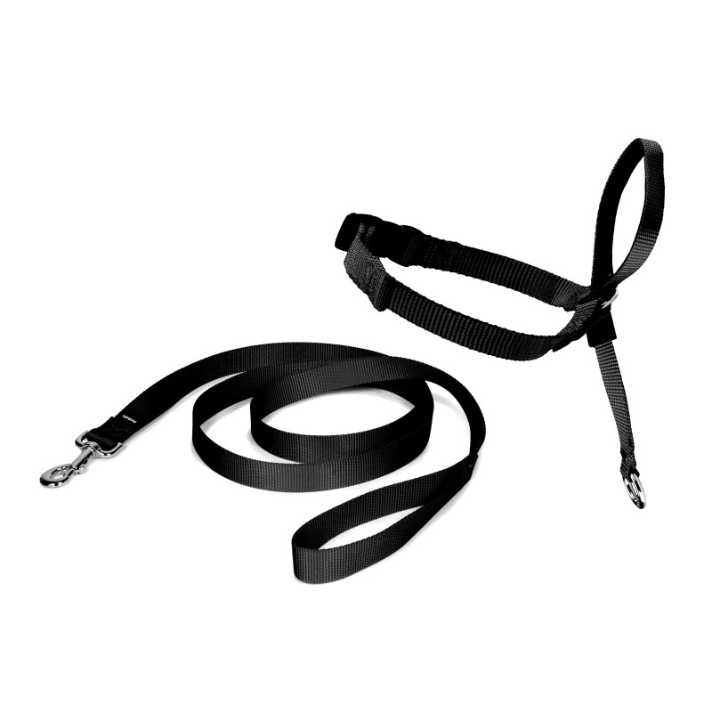 easy-walk-ronzal, collar adiestrameinto